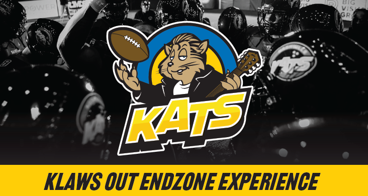 Endzone short.png
